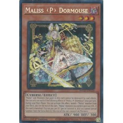 Mega Tin 2025 - Maliss P Dormouse