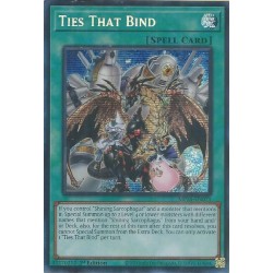 Mega Tin 2025 - Ties That Bind