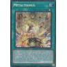 Mega Tin 2025 - Metaltronus