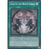 Mega Tin 2025 - Tales of the White Forest