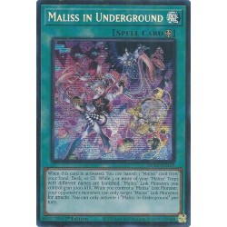 Mega Tin 2025 - Maliss in Underground