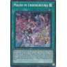 Mega Tin 2025 - Maliss in Underground