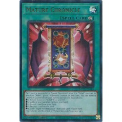 Mega Tin 2025 - Mature Chronicle