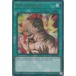 Mega Tin 2025 - Metamorphosis