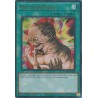 Mega Tin 2025 - Metamorphosis