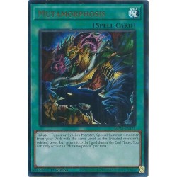 Mega Tin 2025 - Mutamorphosis