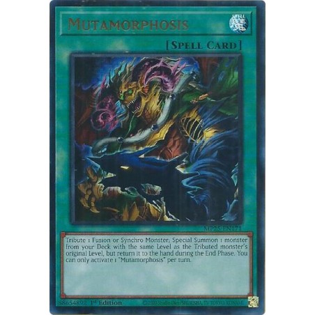 Mega Tin 2025 - Mutamorphosis