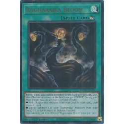 Mega Tin 2025 - Ragnaraika Bloom