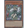 Mega Tin 2025 - Chaos Allure Queen
