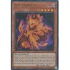 Mega Tin 2025 - Red Familiar