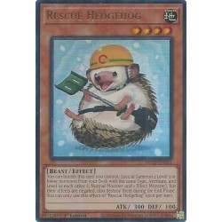 Mega Tin 2025 - Rescue Hedgehog