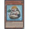 Mega Tin 2025 - Rescue Hedgehog