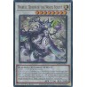 Mega Tin 2025 - Diabell, Queen of the White Forest