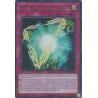 Mega Tin 2025 - Mathmech Superfactorial