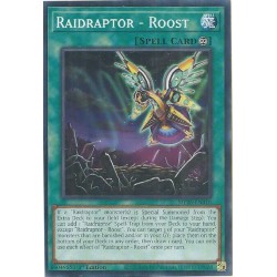 Mega Tin 2025 - Raidraptor - Roost