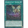 Mega Tin 2025 - Raidraptor - Roost