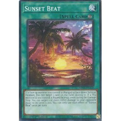 Mega Tin 2025 - Sunset Beat