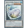 Mega Tin 2025 - White Aura Porpoise