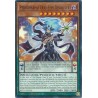 Mega Tin 2025 - Performapal Odd-Eyes Dissolver