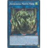 Mega Tin 2025 - Ragnaraika Mantis Monk