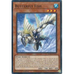 Mega Tin 2025 - Butterfly Fish