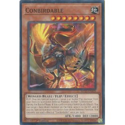 Mega Tin 2025 - Conbirdable