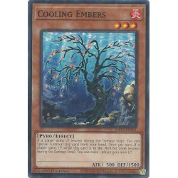 Mega Tin 2025 - Cooling Embers