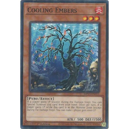 Mega Tin 2025 - Cooling Embers