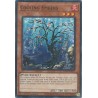 Mega Tin 2025 - Cooling Embers