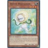 Mega Tin 2025 - Dandy Whitelion