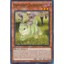Mega Tin 2025 - Danger!? Jackalope?