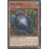 Mega Tin 2025 - Mokomoko