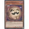 Mega Tin 2025 - Mystic Potato