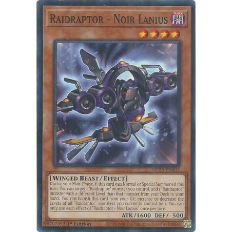 Mega Tin 2025 - Raidraptor - Noir Lanius