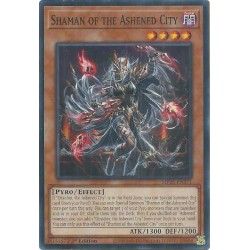 Mega Tin 2025 - Shaman of the Ashened City