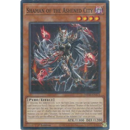 Mega Tin 2025 - Shaman of the Ashened City