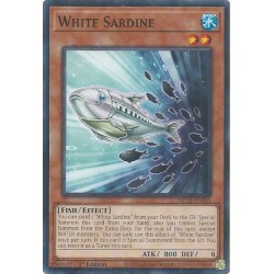 Mega Tin 2025 - White Sardine