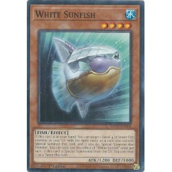 Mega Tin 2025 - White Sunfish