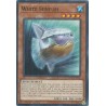 Mega Tin 2025 - White Sunfish