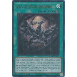Doom of Dimensions - Black Rose Garden