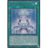 Doom of Dimensions - Draco Awakening