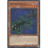 Doom of Dimensions - Onomatokage