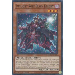 Doom of Dimensions - Twilight Rose Black Knight