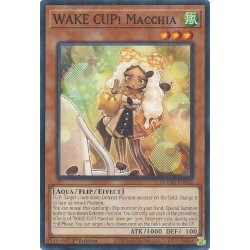 Doom of Dimensions - WAKE CUP! Macchia