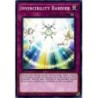 Soul Fusion - ﻿Invincibility Barrier