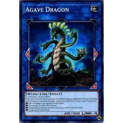 Soul Fusion - ﻿Agave Dragon