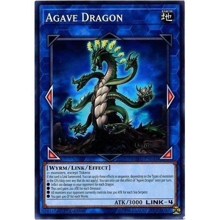 Soul Fusion - ﻿Agave Dragon