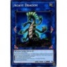 Soul Fusion - ﻿Agave Dragon