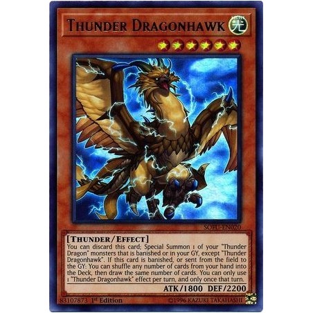 Soul Fusion - ﻿Thunder Dragonhawk
