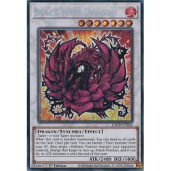 Legendary 5D's Decks - Black Rose Dragon